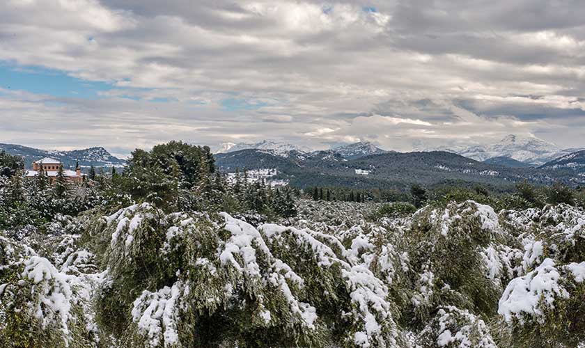 Sierra de Mariola natural Park under snow